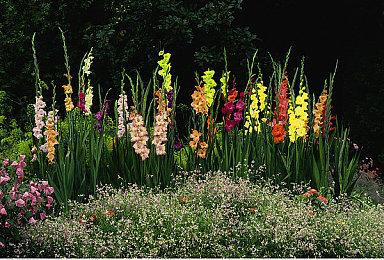 加密货币交易所FTX破产 GameStop迅速撇清关系