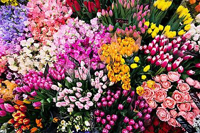 Epic商城正在开发游戏库自定义功能